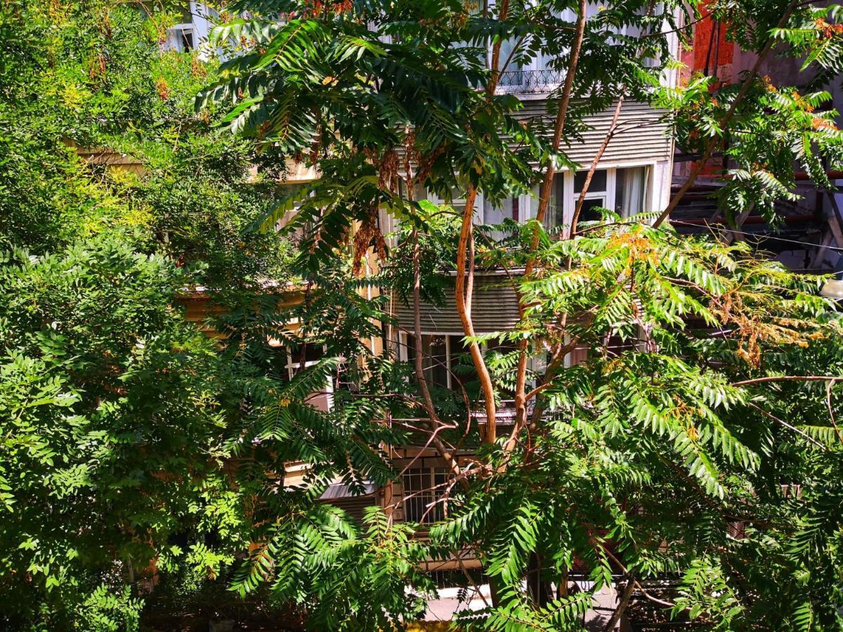 Gafa Garden Hostel & Apartments - Great Location Istanbul Eksteriør bilde
